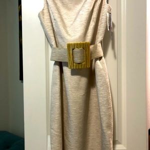 David Meister Size 12 Women Dress Saks 5th (Brand New W/Tag)